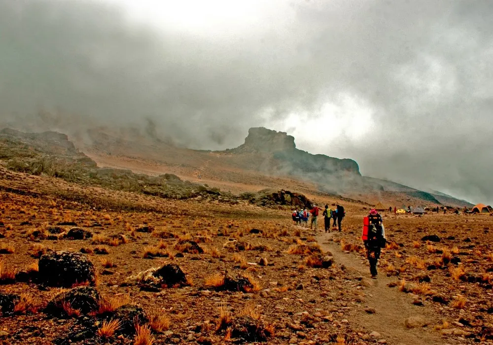 Kilimanjaro hikers walking towards Lava Tower