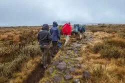 Small group of hikers walking together on Kilimanjaro