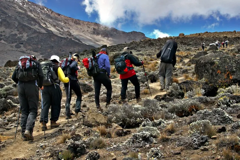 Kilimanjaro hikers walking uphill with daypacks and trekking poles