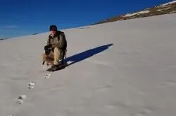 Hiker on Mount Kilimanjaro during a guided climb