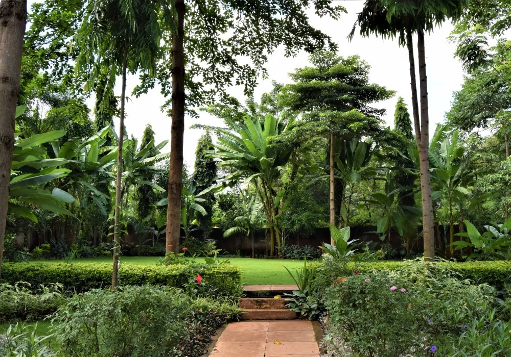 Tropical gardens at Chanya Lodge in Moshi