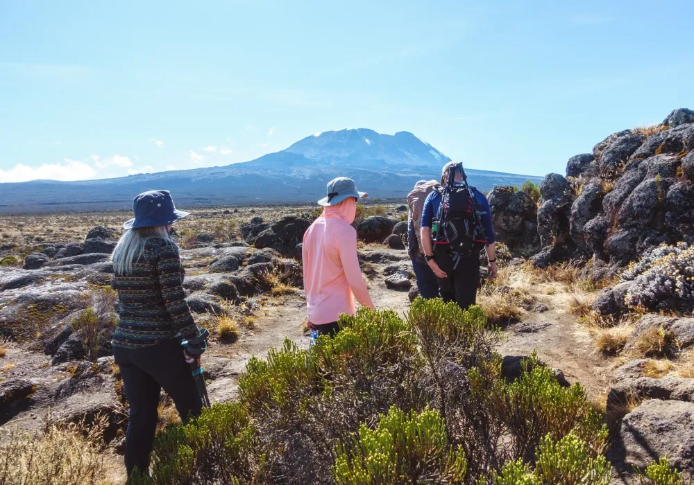 Hikers trekking towards Mount Kilimanjaro in Tanzania
