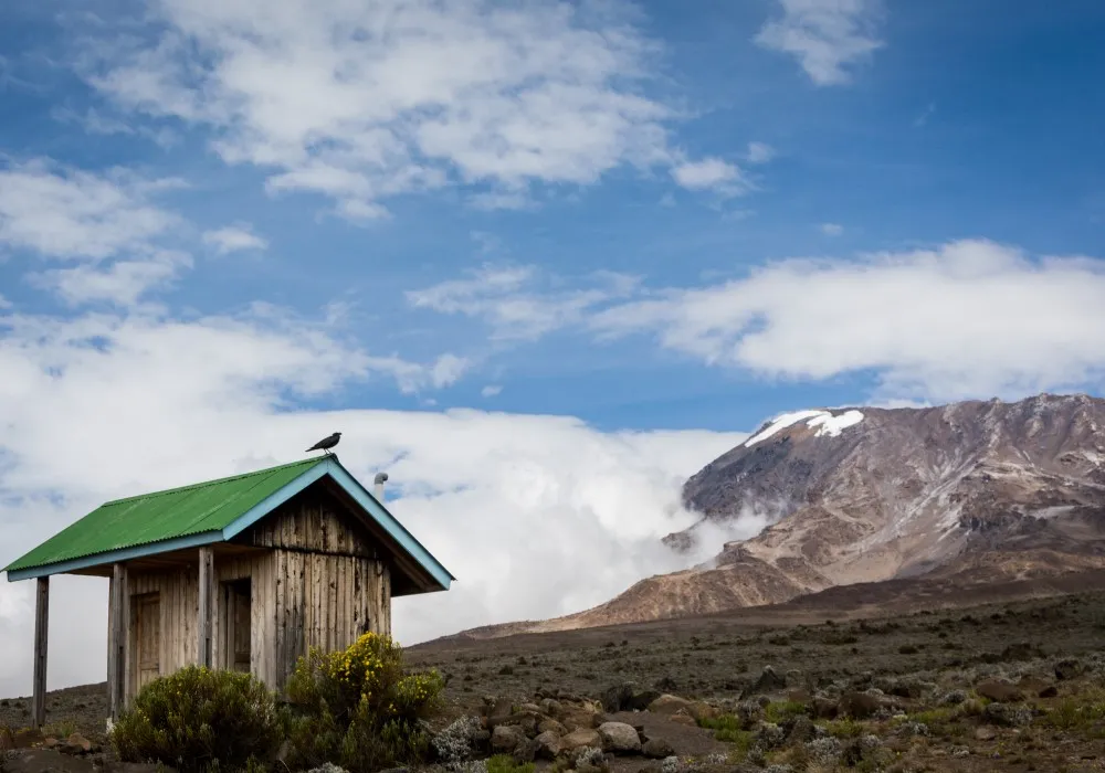 View of Kibo on the Marangu Route on Mount Kilimanjaro
