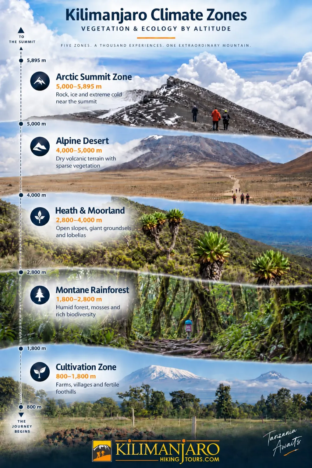 Infographic showing the five Kilimanjaro climate zones from the cultivation zone and rainforest to heath and moorland, alpine desert and arctic summit