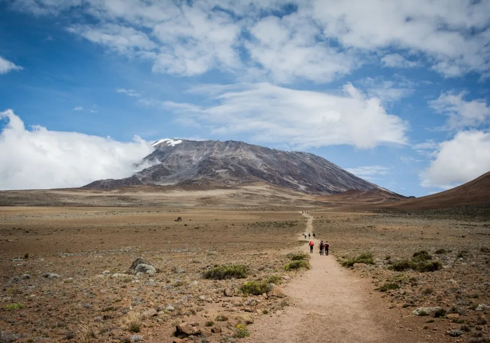 Alpine desert landscape on Mount Kilimanjaro with barren volcanic terrain and little vegetation