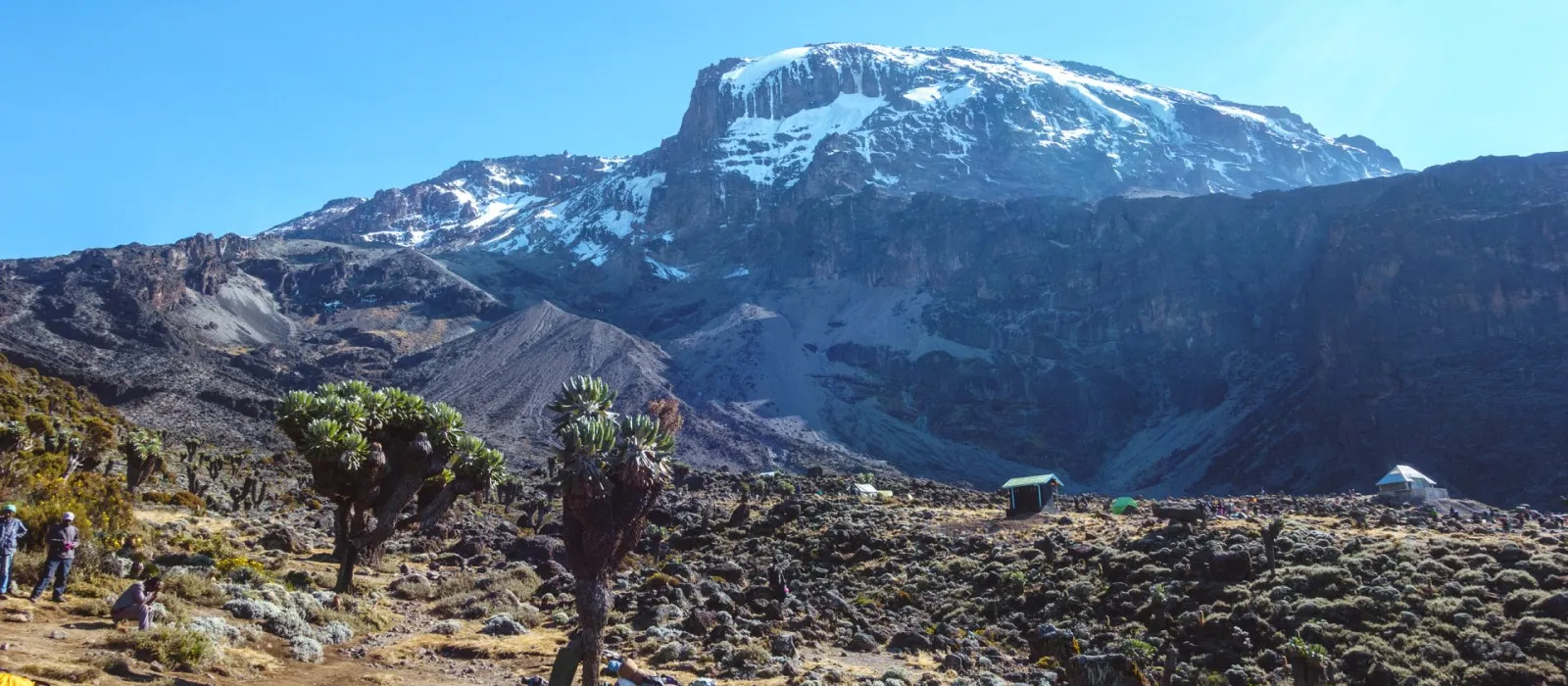 Kilimanjaro climate zones hero