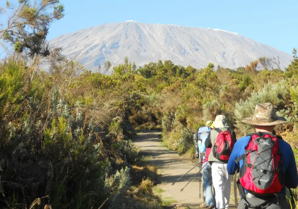 Hikers on the Rongai Route on the way towards Kibo Hut on Mount Kilimanjaro