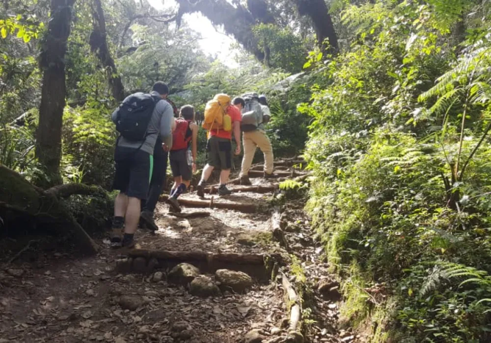 Kilimanjaro hikers training outdoors on uphill mountain terrain
