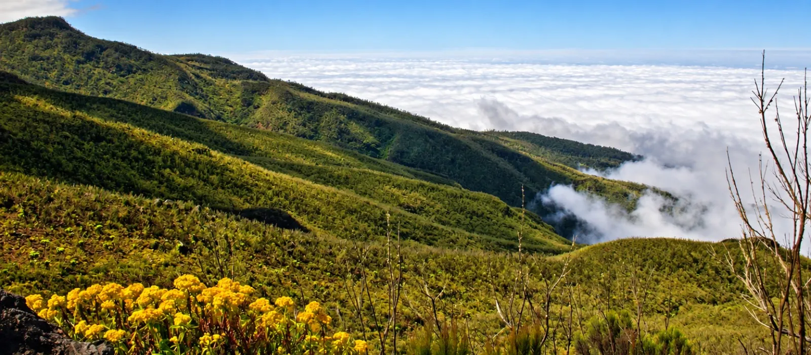 Umbwe Route landscape on Mount Kilimanjaro