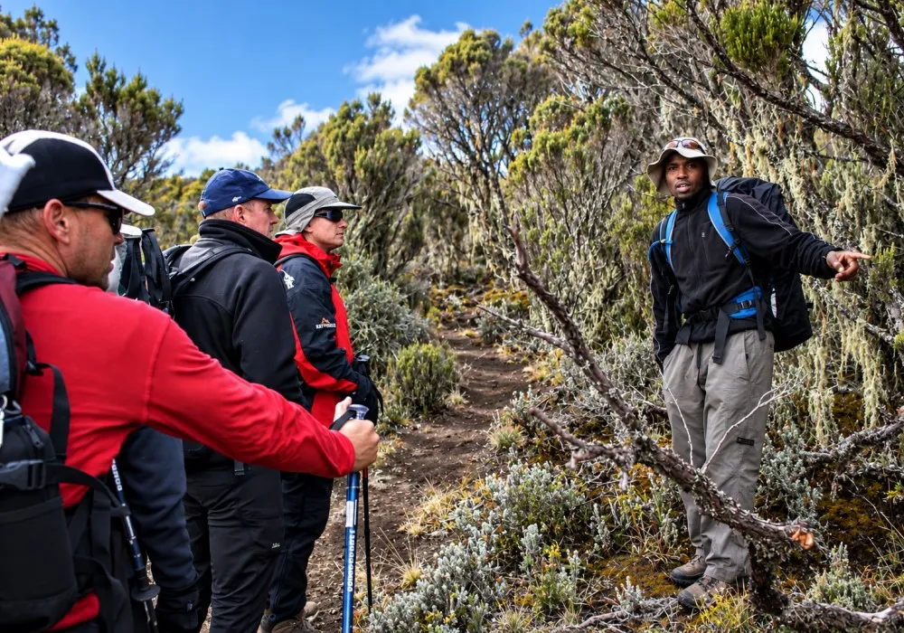 Kilimanjaro guide walking with hikers on the mountain
