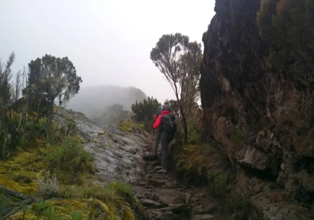 Hiker wearing waterproof clothing while climbing Kilimanjaro in the rain