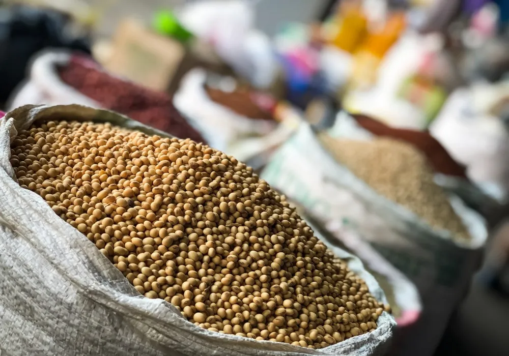 Local ingredients from Moshi market used for Kilimanjaro meals