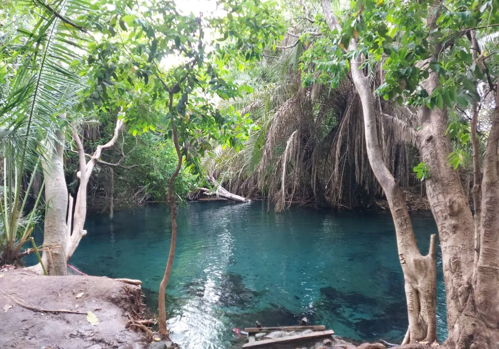 Kikuletwa Chemka Hot Springs natural swimming pool near Moshi Tanzania