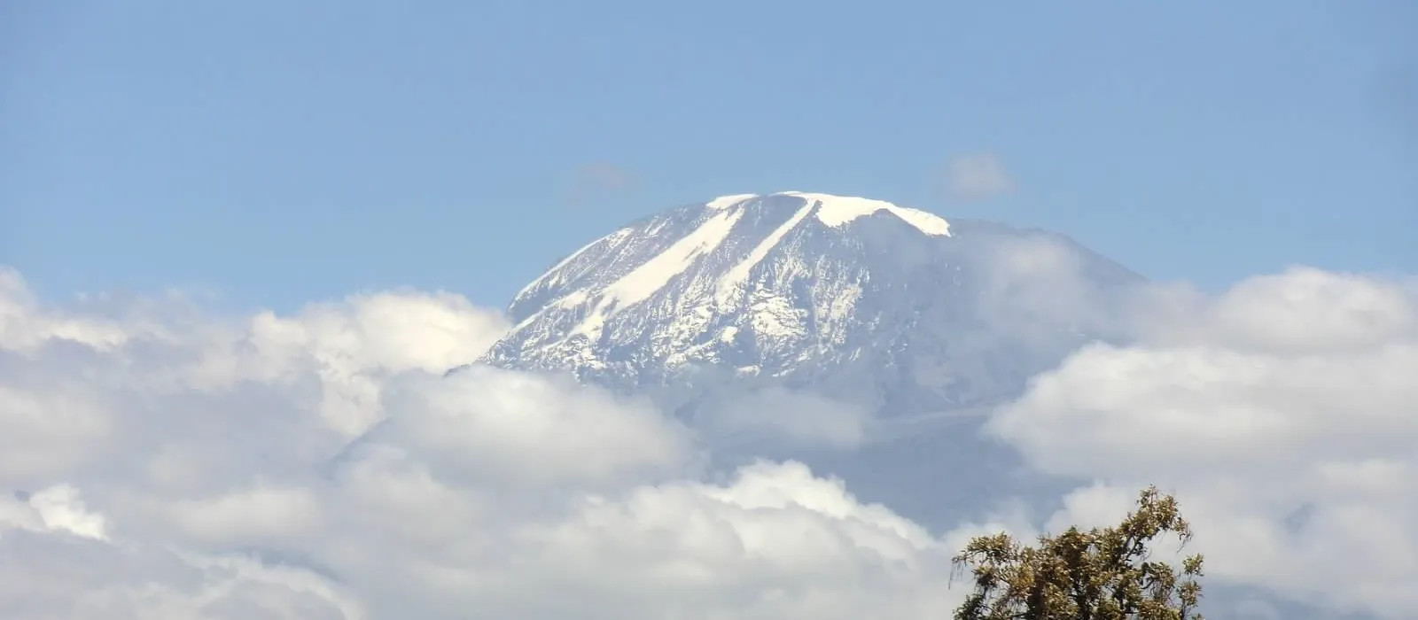 Mount Kilimanjaro rising above the clouds during a clear day