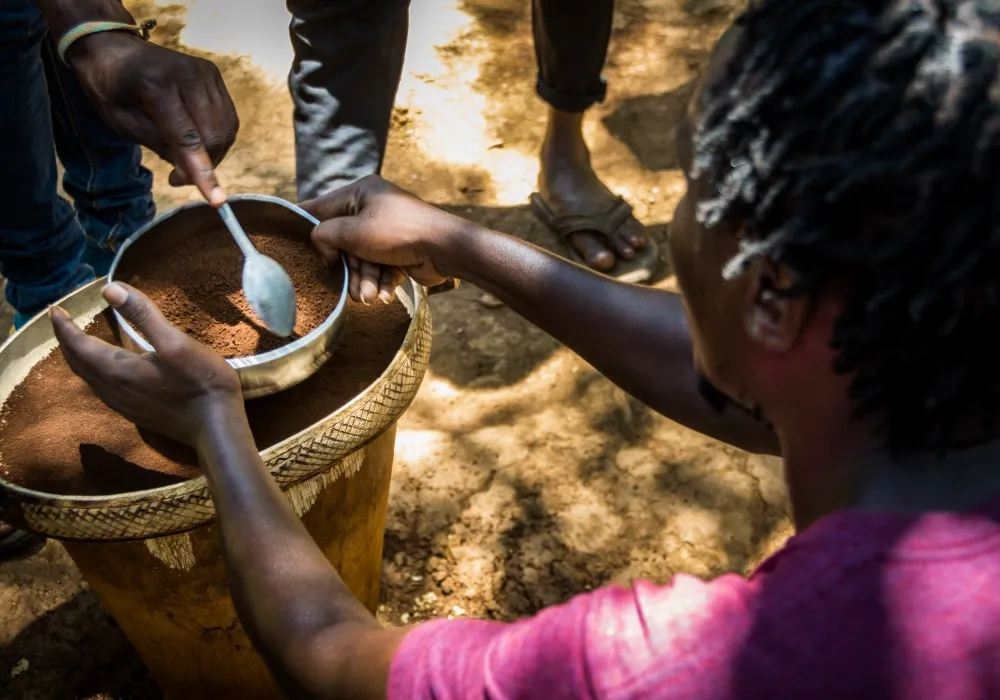 Traditional coffee experience at Materuni village near Moshi