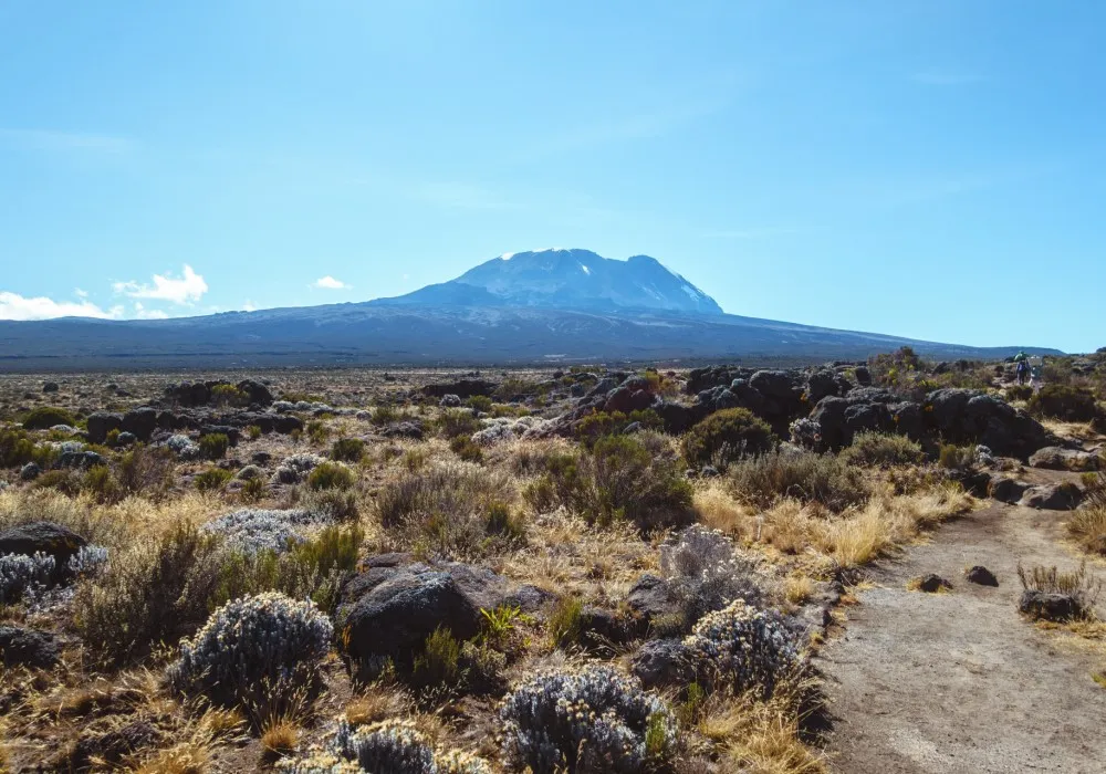 Wide open scenery across the Shira Plateau on Mount Kilimanjaro